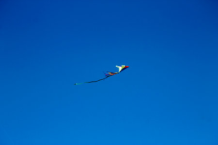 A Colorful flying kite fly against blue skyの写真素材