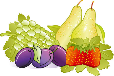 fruitのイラスト素材