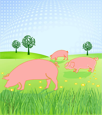 organic farm のイラスト素材