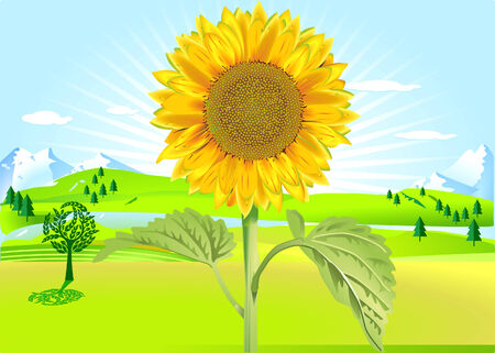 sun flower in summerのイラスト素材