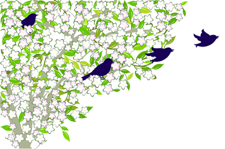 birds in the springtimeのイラスト素材