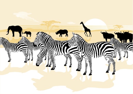 wild animals in the savannahのイラスト素材