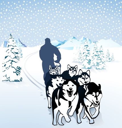 Dog sledding in the snowのイラスト素材