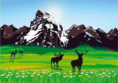 Mountain scenery with wildのイラスト素材