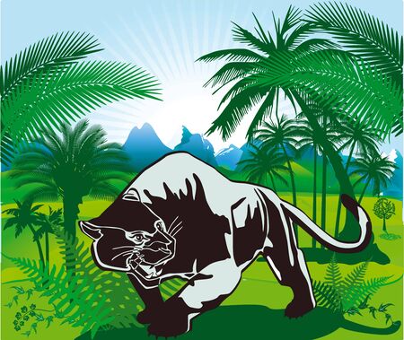 Jungle and Panterのイラスト素材