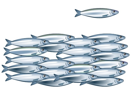 Sardine shoalのイラスト素材