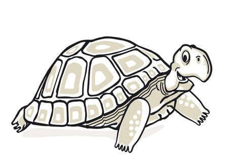 かめの写真 イラスト素材一覧 71 674件 ストックフォトのamanaimages Plus