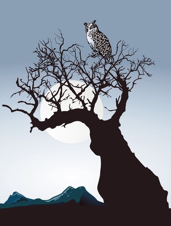 Owl on an old treeのイラスト素材