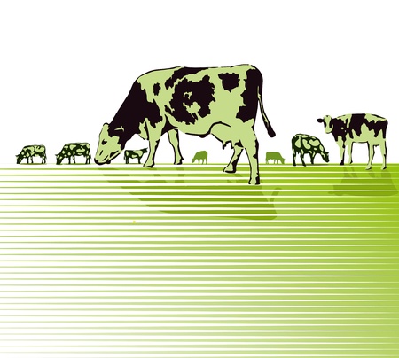 Cows on pastureのイラスト素材