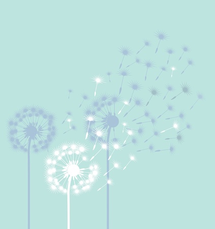 Dandelions in the wind のイラスト素材