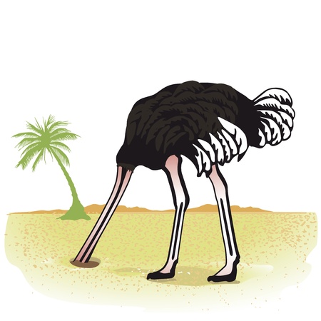 Ostrich hides its head in the sandのイラスト素材