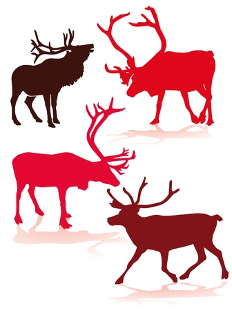 reindeerのイラスト素材