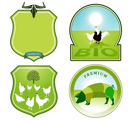 organic Labelのイラスト素材