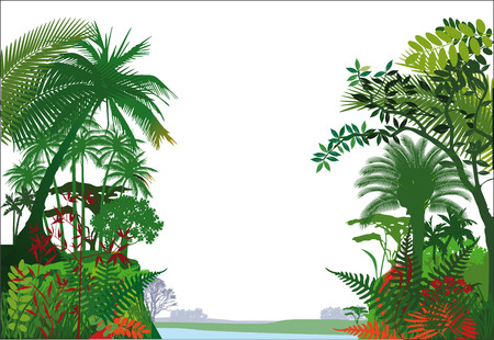 tropical rainforest Jungleのイラスト素材