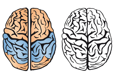 brain intelligenceのイラスト素材