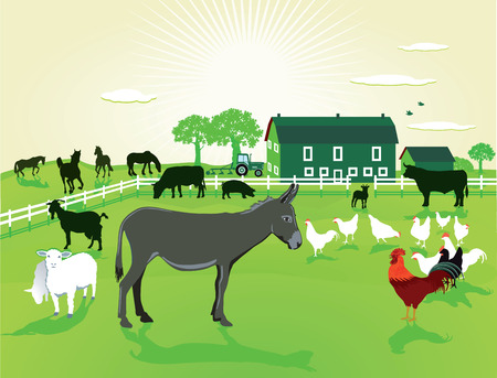 Animals on the farmのイラスト素材