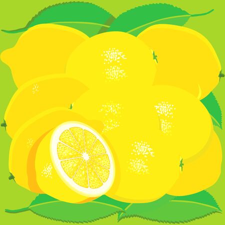 lemon fruit with leavesのイラスト素材