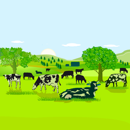 Cows on the pasture illustrationのイラスト素材