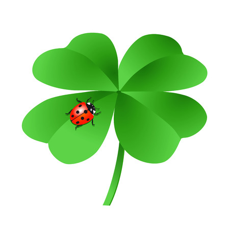 Lucky clover with ladybug, isolated on white, illustrationのイラスト素材