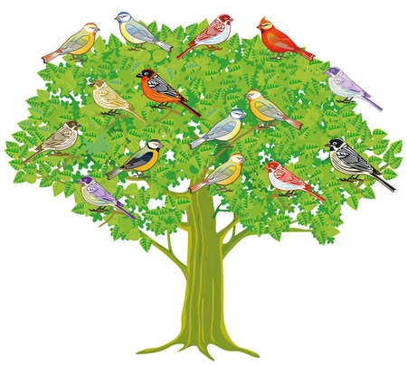 a group of songbirds on a treeのイラスト素材