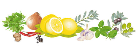 Spices and herbs isolated illustrationのイラスト素材