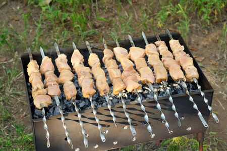 Shashlik - cooking barbecue on grill close-upの写真素材