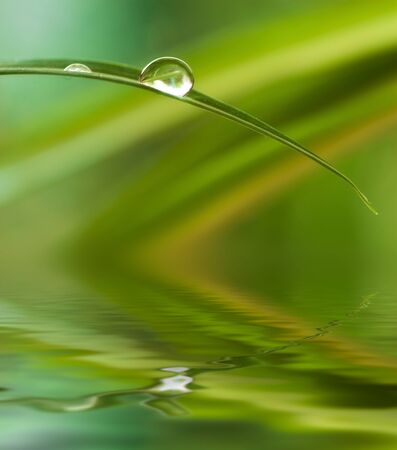 A water drop from a leaf causing a ripple on the surface reflecting a green jungle atmosphere の写真素材
