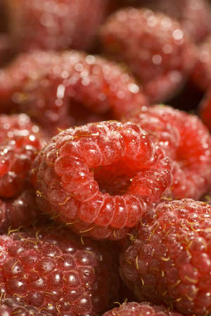Extreme Close-up of ripe raspberries. Amazing detail at full resolution.の写真素材