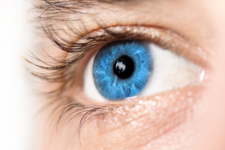 Macro of a blue eye  Side view, selective focus 