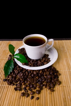 Coffee cup, coffe beans and young plantの写真素材