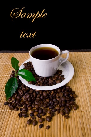 Coffee cup, coffe beans and young plantの写真素材