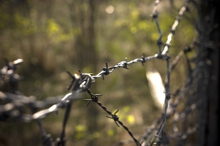 barb wire fragment in photographyの写真素材