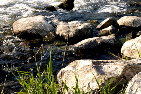 Forest stream running over mossy rocks