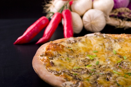 Pizza and dried decoration  Shot in studio の写真素材