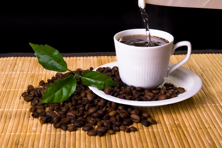 Coffee cup, coffe beans and young plantの写真素材