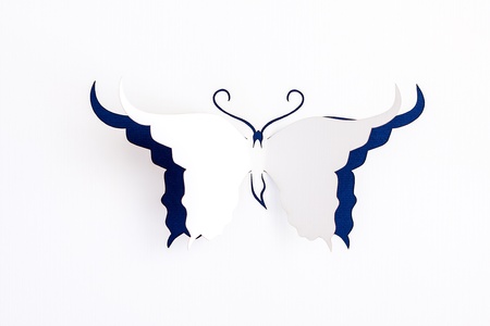 Greeting card with paper butterflyの写真素材
