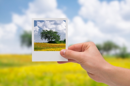 Holding Instant photo on a autumn background の写真素材