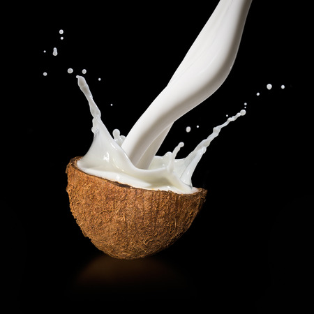 Coconuts with milk splash on black background の写真素材