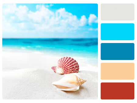 Colour palette with complimentary swatches の写真素材
