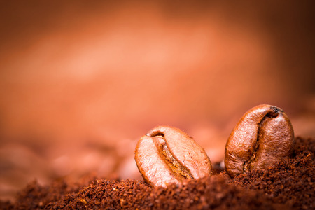 Closeup of two coffee beans macro at roasted coffee heap の写真素材