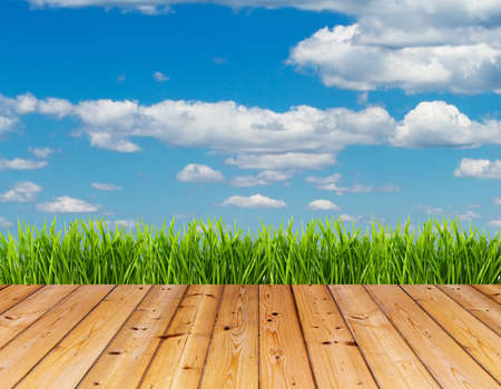 Fresh spring green grass and blue sky on wood floor background の写真素材