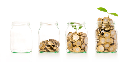 Money growing plant step with deposit coin in bank concept. Isolated in white. Money growing plant step with deposit coin in bank concept. Isolated in white.