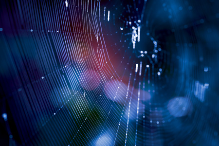 beauty design spider web spiderweb blue macro background cobweb technology hacker - stock imageの写真素材