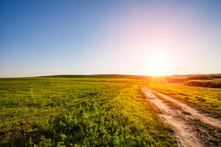 sky sunset landscape field cloud dawn road sun sunny horizon dusk - stock imageの写真素材
