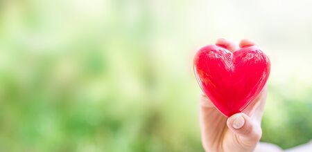 The woman is holding a red heart. Concept for charity, health insurance, love, international cardiology day.の写真素材
