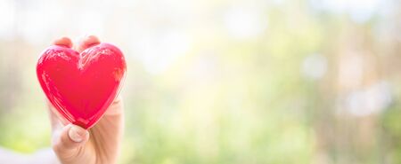 The woman is holding a red heart. Concept for charity, health insurance, love, international cardiology day.の写真素材
