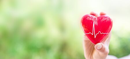 The woman is holding a red heart. Concept for charity, health insurance, love, international cardiology day.の写真素材