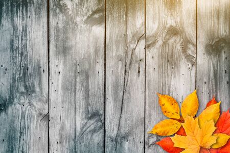 Autumn leaves over wooden background with copy spaceの写真素材