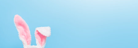 Easter holiday concept. Rabbit ears (bunny) on the blue background. Happy holidays with free space...