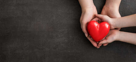 An adult, mother and child hold a red heart in their hands. Concept for charity, health insurance, love, international cardiology day.の写真素材